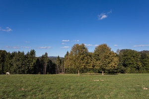 AS 20180929  MG 3527