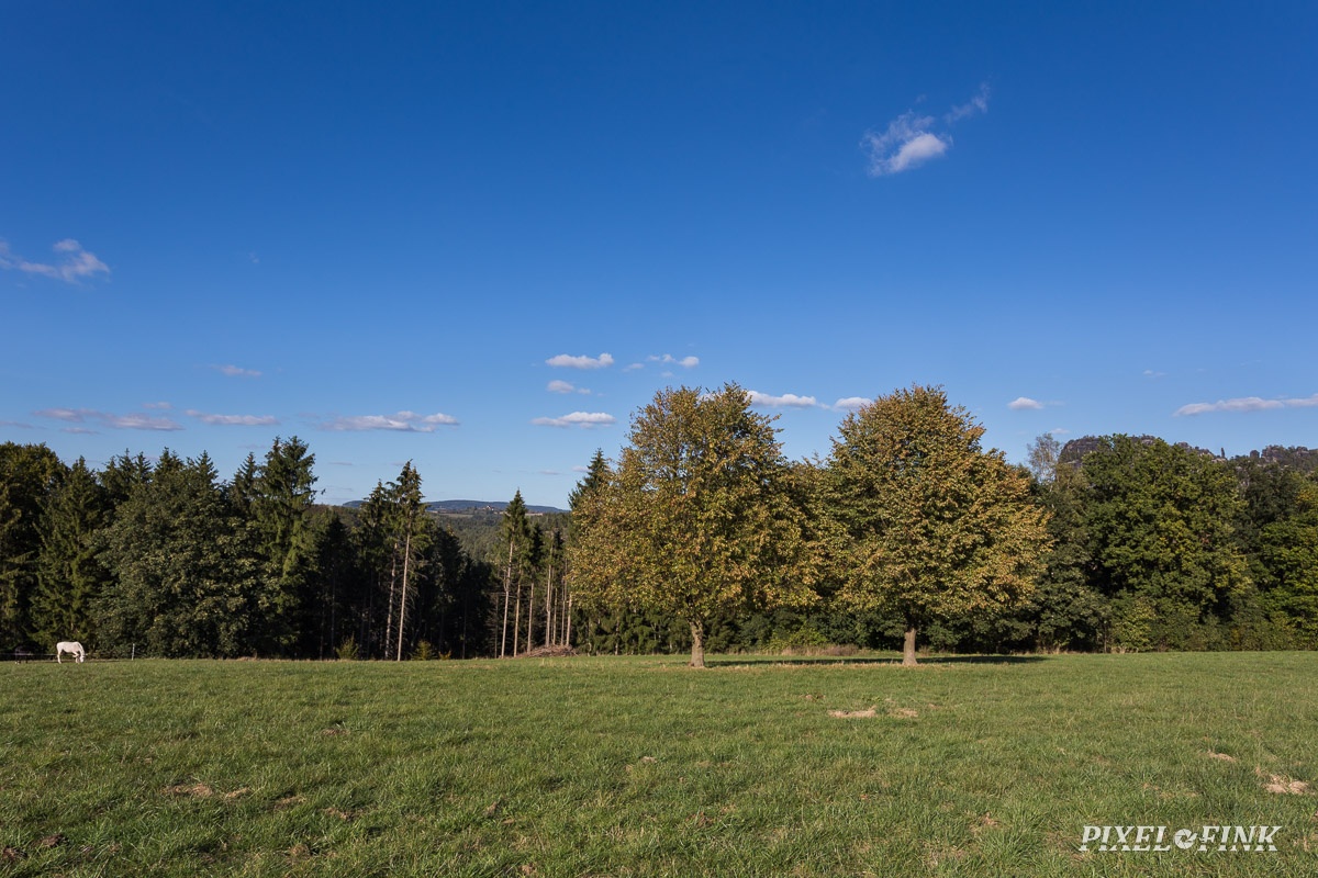 AS_20180929__MG_3527.jpg