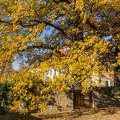 JUS_20191110_IMG_5195.jpg