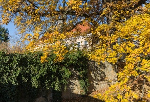 JUS 20191110 IMG 5196