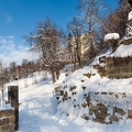 JUS_20141229__MG_2927.jpg