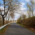 JUS_20200414__MG_5710.jpg