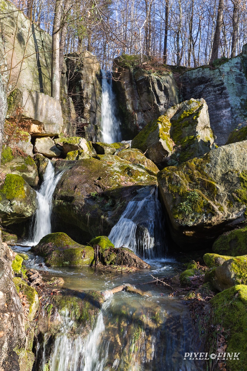 AS_20210219_MG_5999.jpg