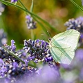 JUS_20210723_MG_0252.jpg