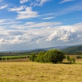 JUS_20210804_MG_0654.jpg