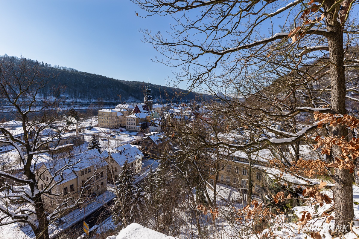 AS_20210214_MG_5943.jpg
