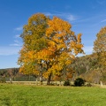 JUS_20211024_MG_7200.jpg