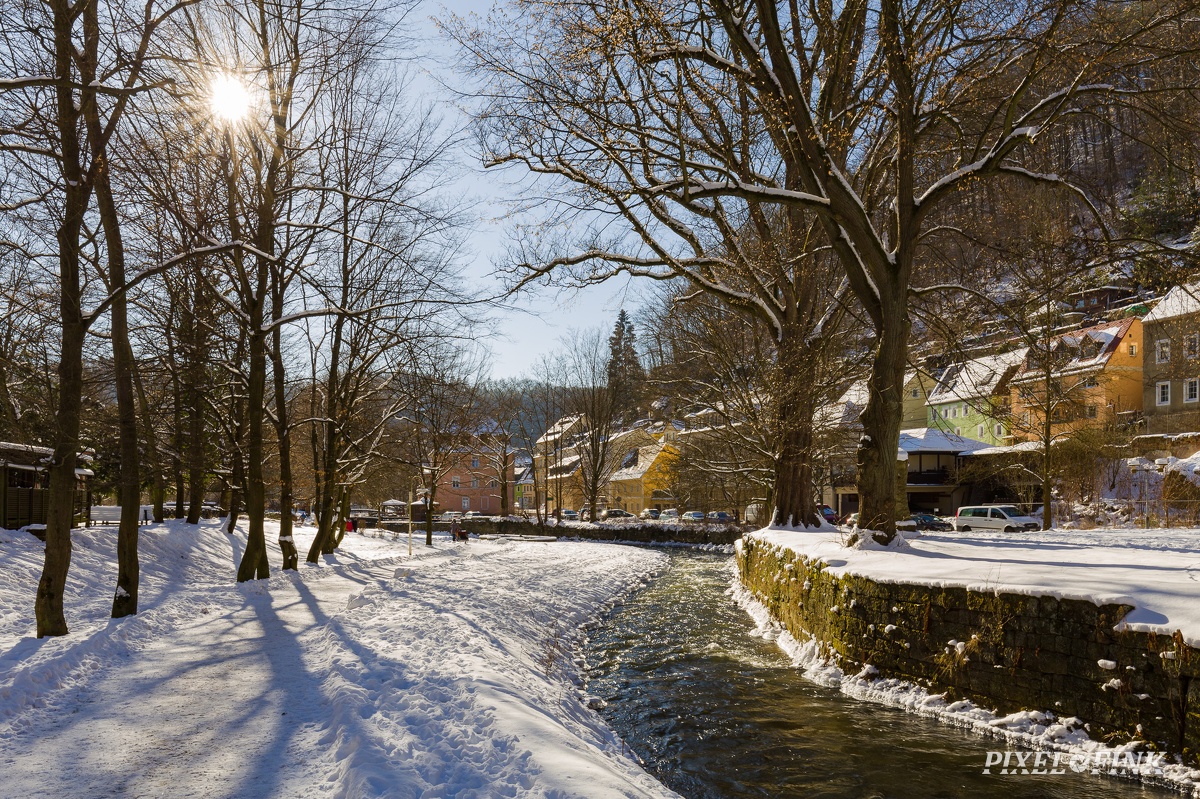 JUS_20210214_MG_6649.jpg