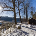 JUS_20210214_MG_6684.jpg