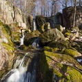 JUS_20210219_MG_6725.jpg