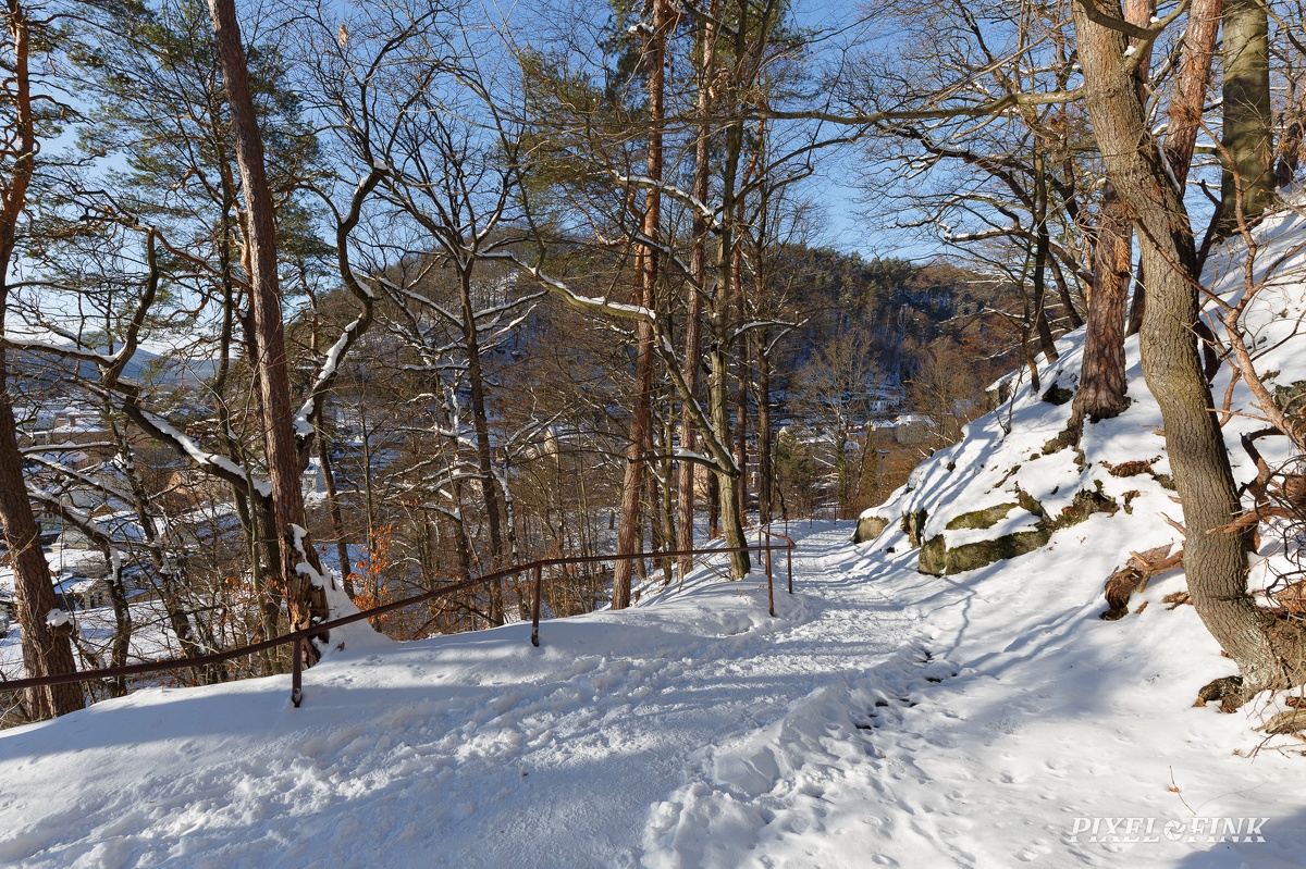 AS_20210214_MG_5972.jpg