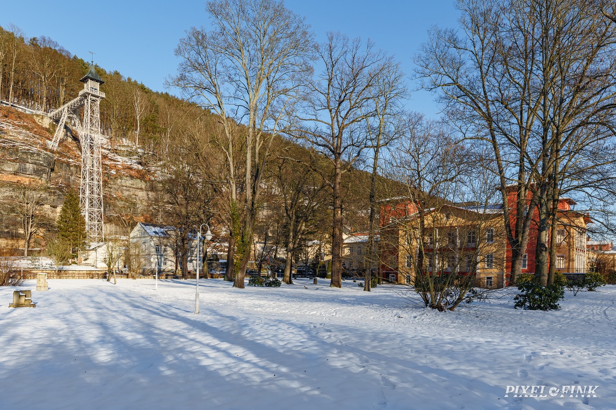 AS_20210131_MG_5879.jpg
