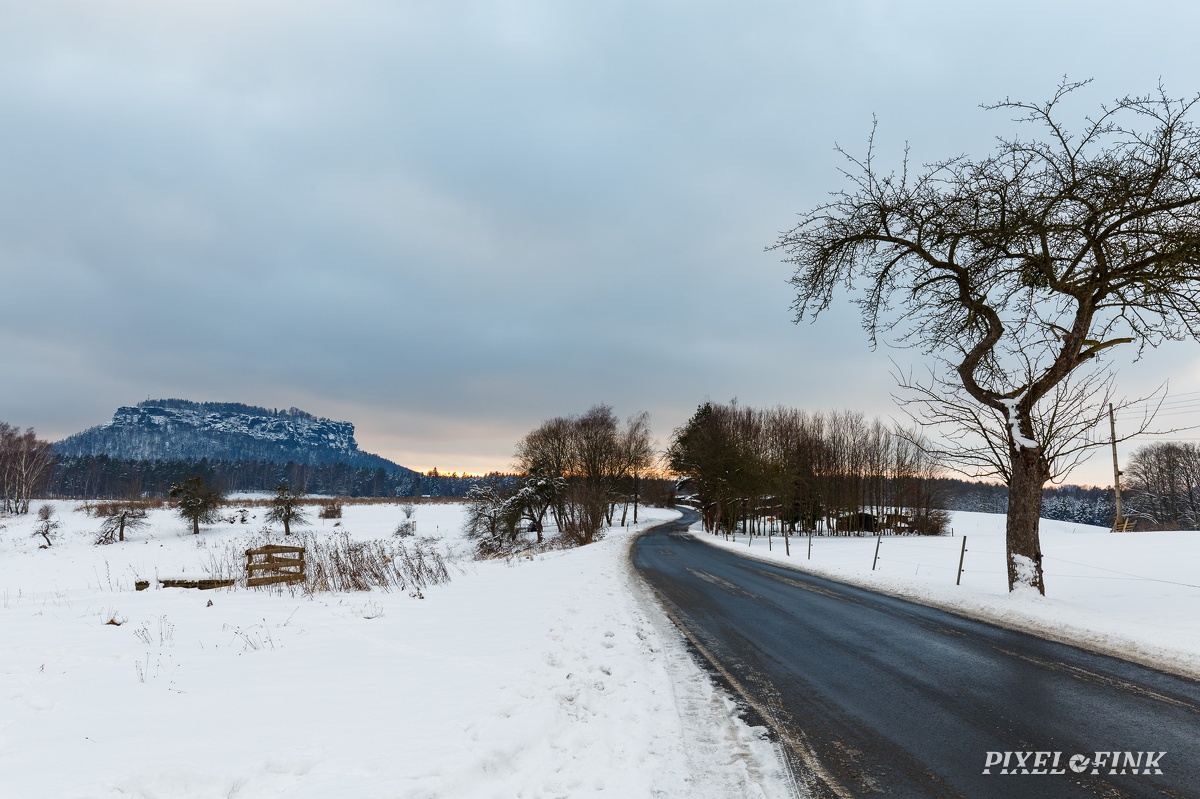 JUS_20210117_MG_6569.jpg