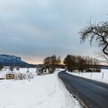 JUS_20210117_MG_6569.jpg