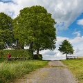 AS_20140508IMG_4382.jpg