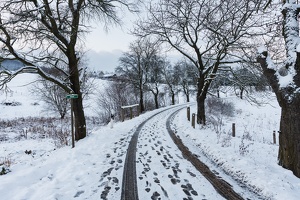 AS 20141226IMG 4812