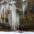 JUS_20210215_MG_6708.jpg