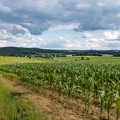AS_20160621_MG_0734.jpg