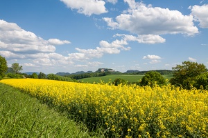 JUS 20130519 IMG 1030