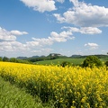 JUS_20130519_IMG_1030.jpg