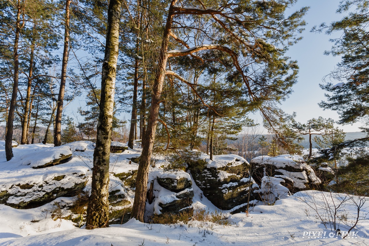 AS_20160122_MG_0235.jpg
