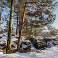 AS_20160122_MG_0235.jpg