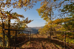 JUS 20141101  MG 2636