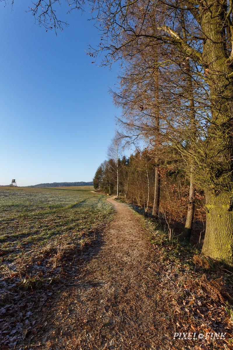AS_20161205_MG_1480.jpg