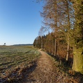 AS_20161205_MG_1480.jpg