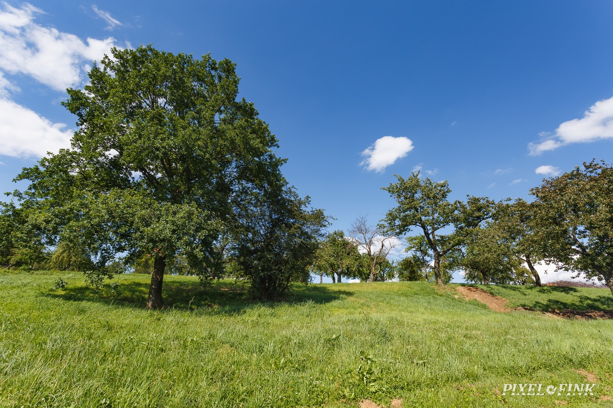 AS_20160801_MG_1009.jpg