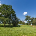 AS_20160801_MG_1009.jpg