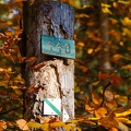 JUS_20171016__MG_1434.jpg