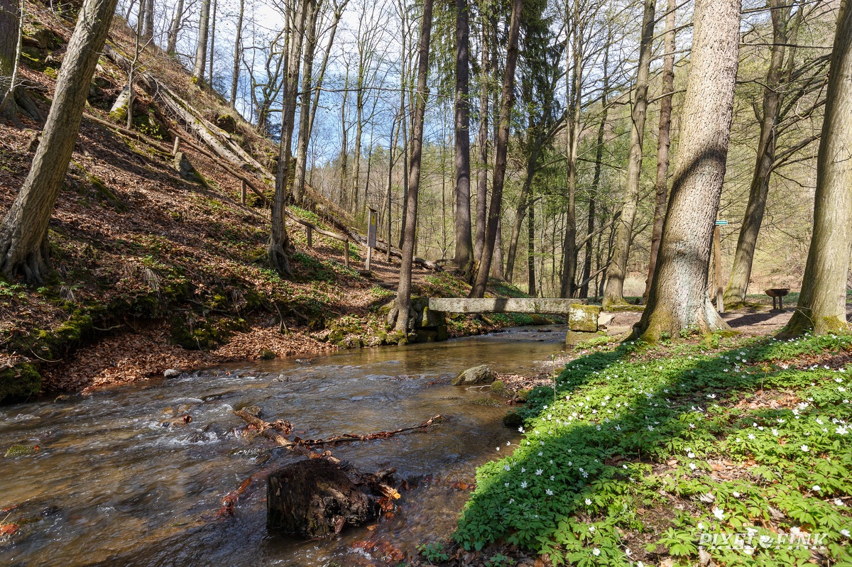JUS_20180414__MG_2328.jpg