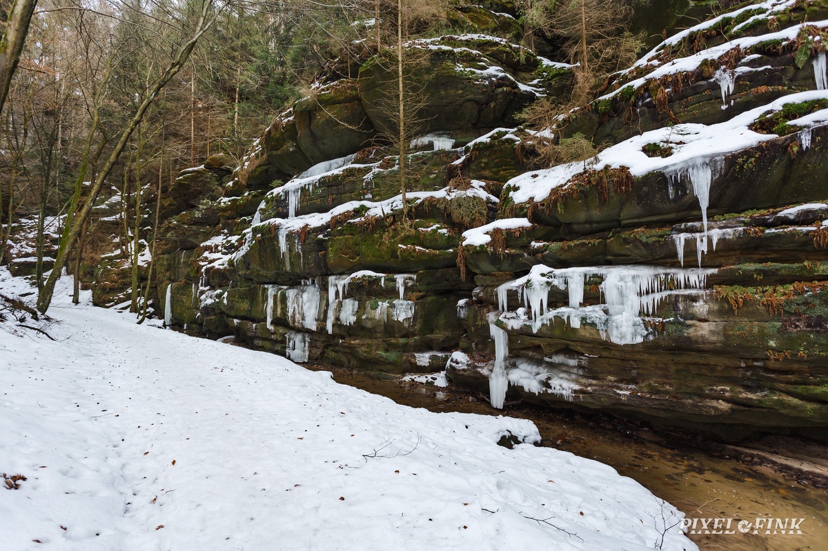 AS_20170219_MG_1604.jpg