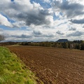 AS_20170413_MG_1684.jpg