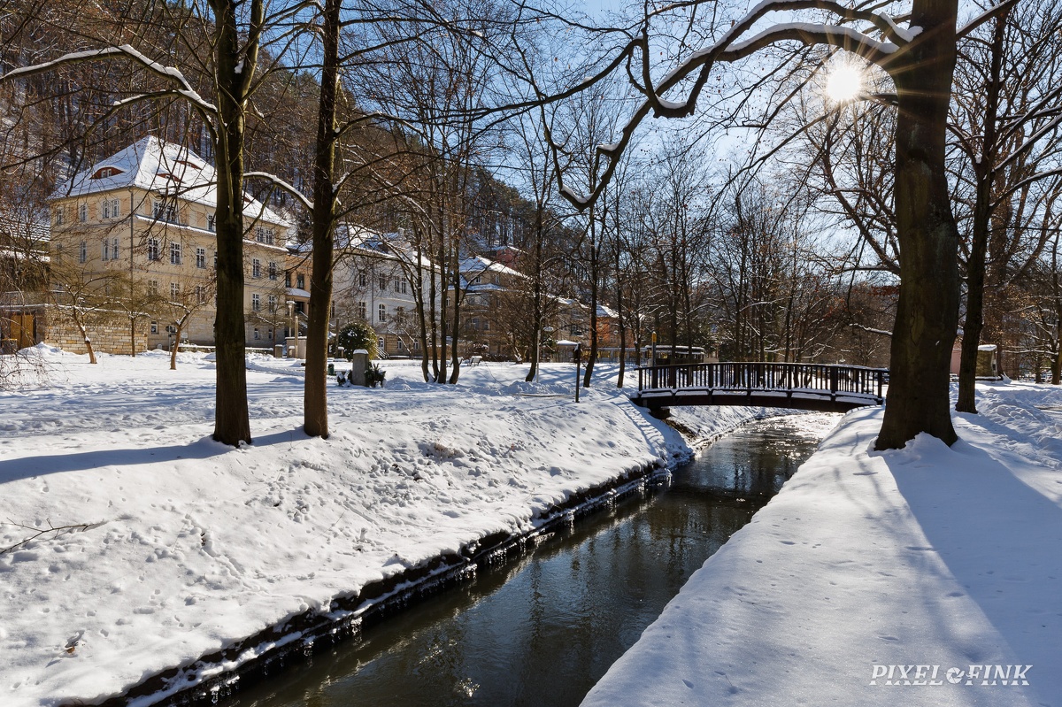 AS_20210214_MG_5920.jpg