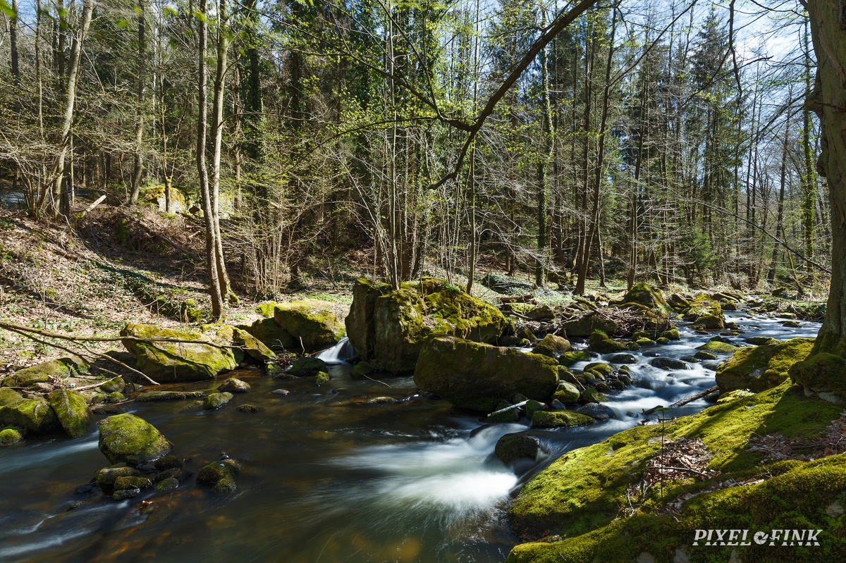 JUS_20220423_MG_7781.jpg