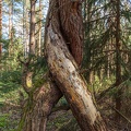 JUS_20190417_IMG_4503.jpg