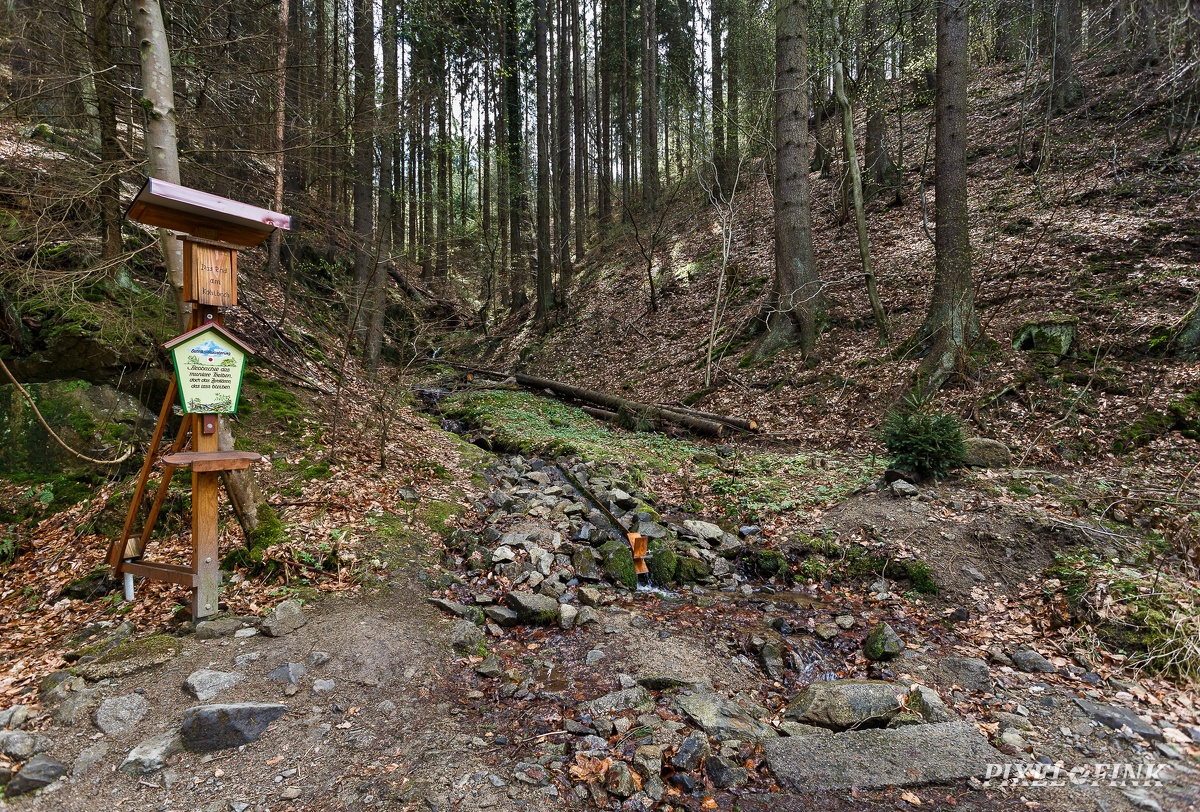 AS_20180414_MG_3086.jpg