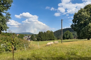 AS 20220726IMG 0031