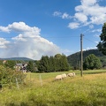 AS_20220726IMG_0031.jpg