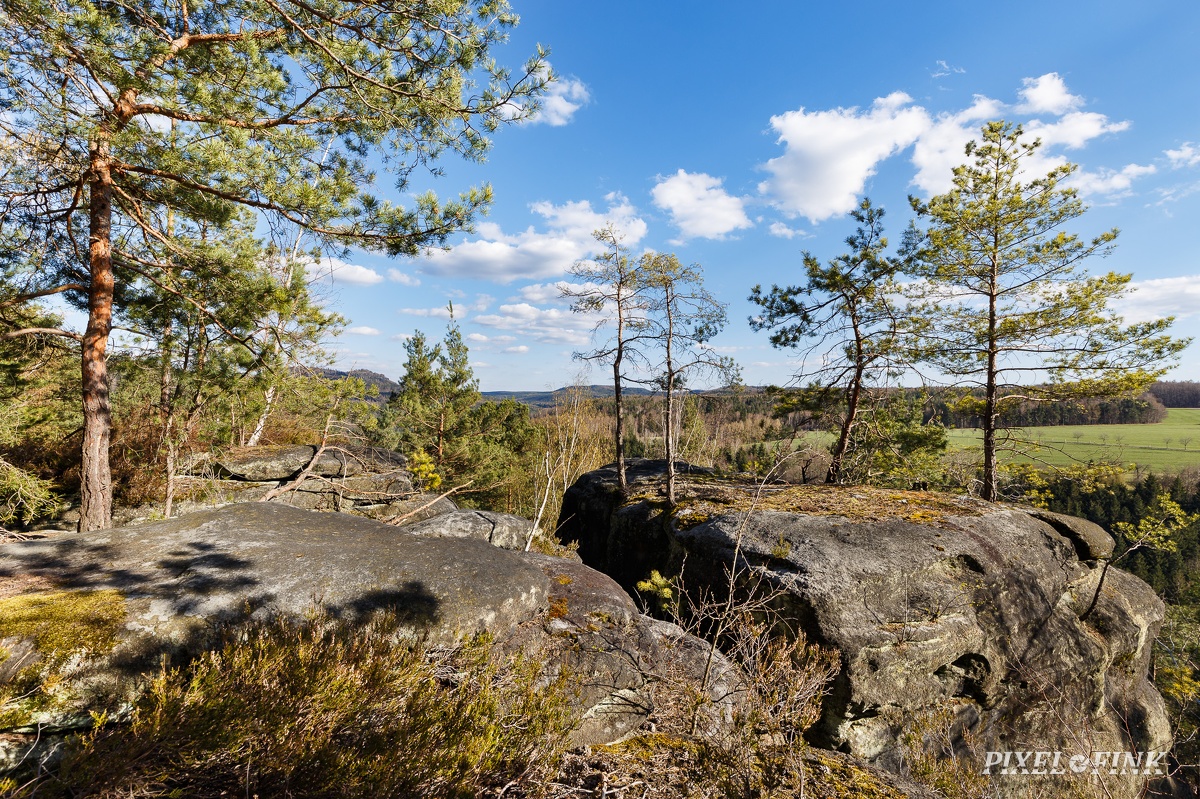 AS_20220411_MG_6679.jpg