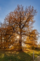 JUS 20191110 IMG 5268