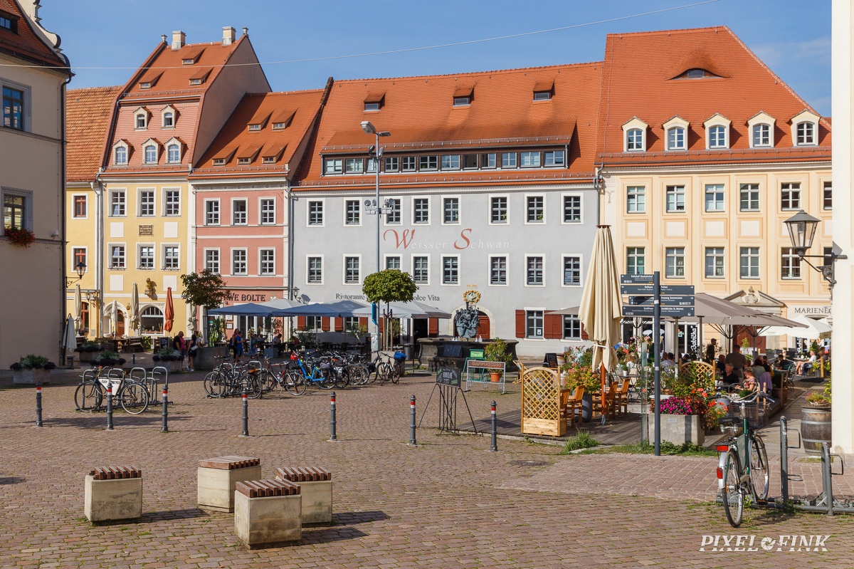 JUS_20220904_MG_8351.jpg