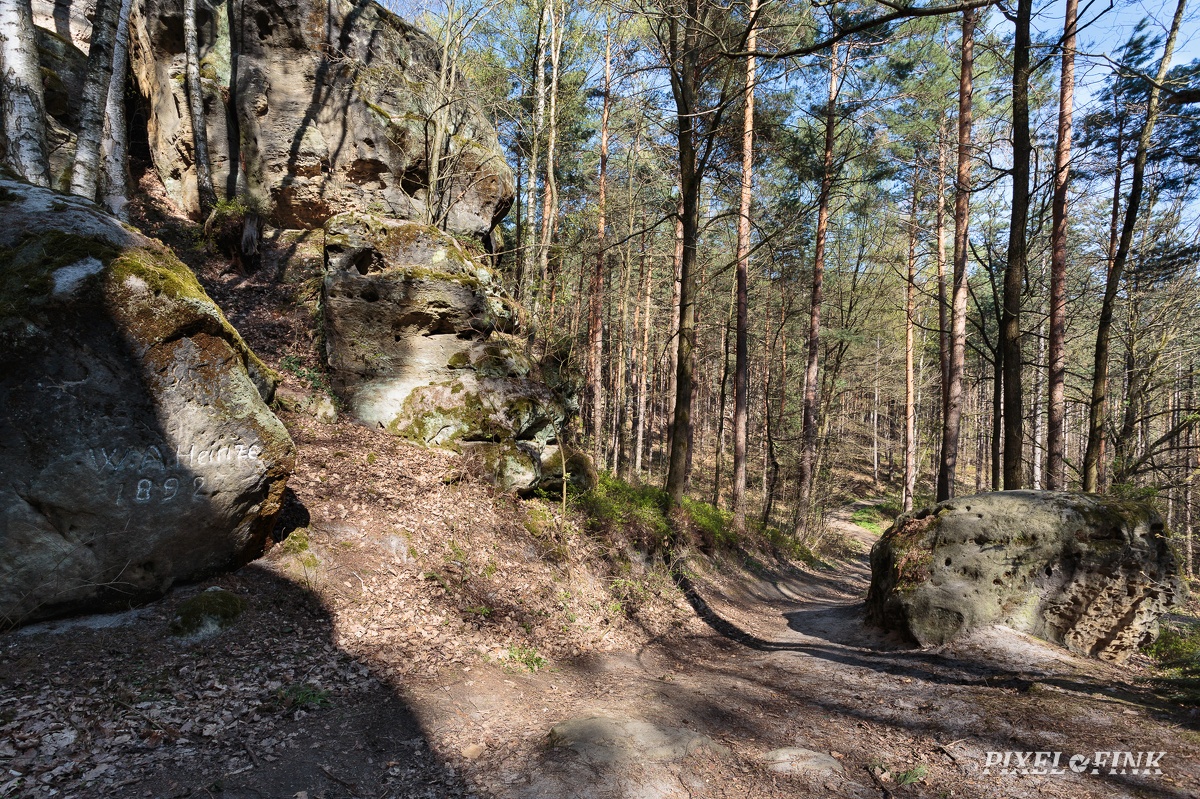 AS_20190415_MG_4261.jpg
