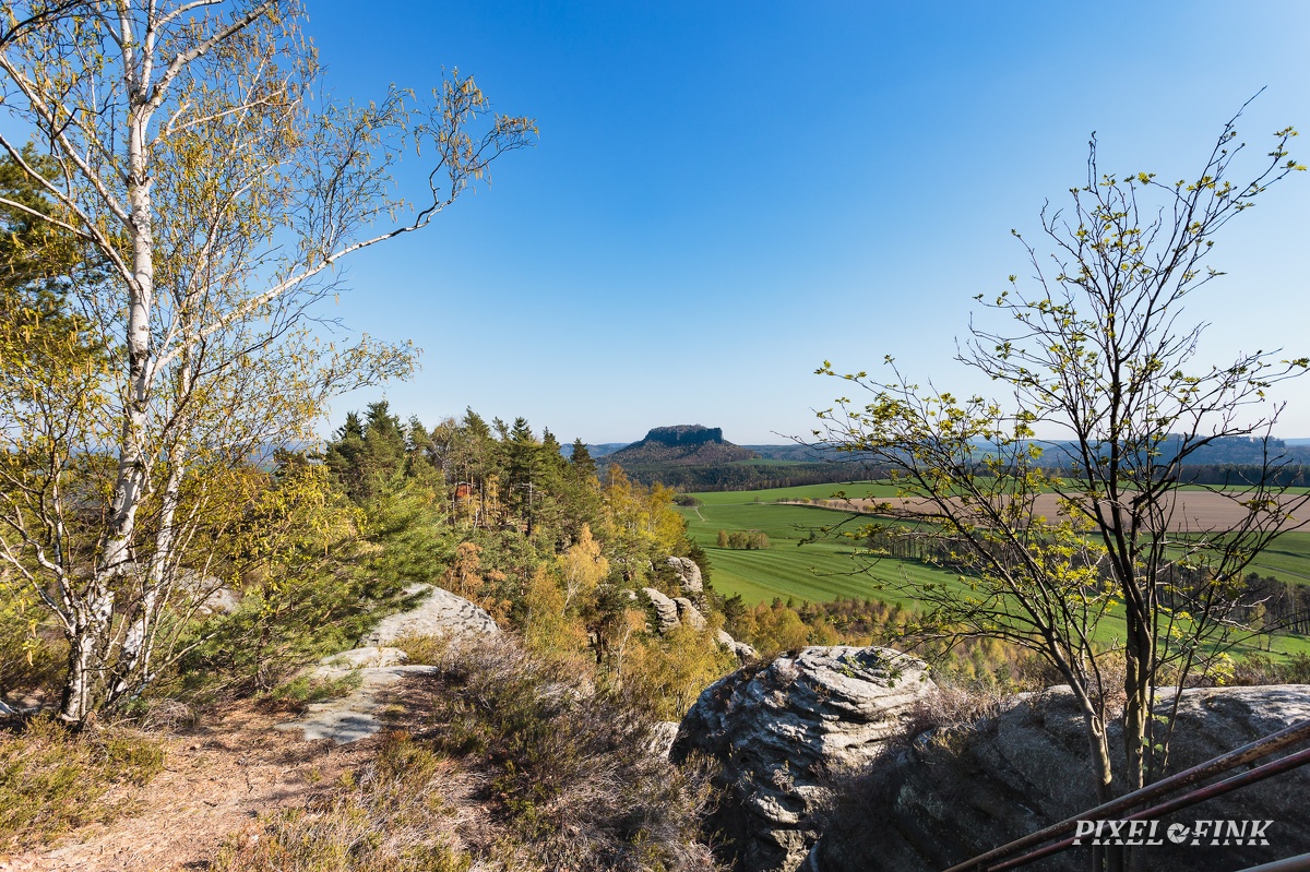 AS_20190415_MG_4306.jpg