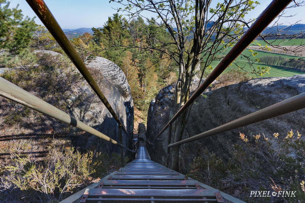 AS_20190415_MG_4324.jpg