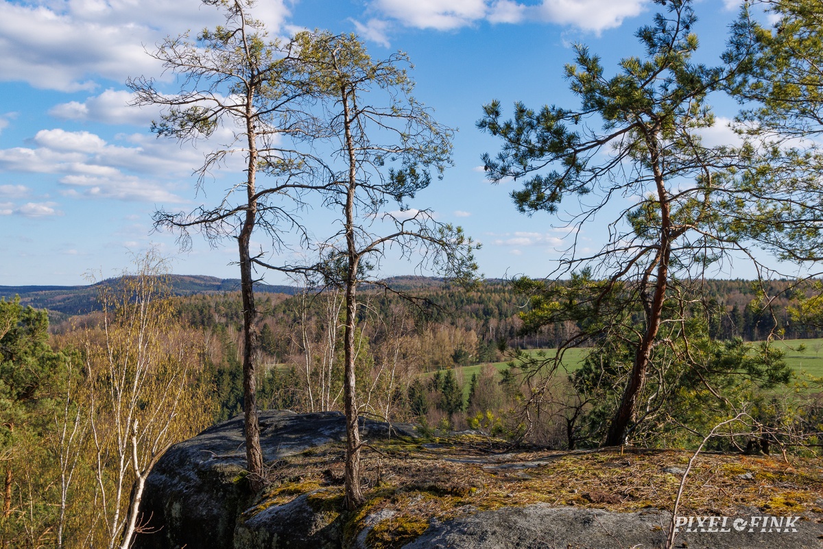 JUS_20220411_MG_2746.jpg