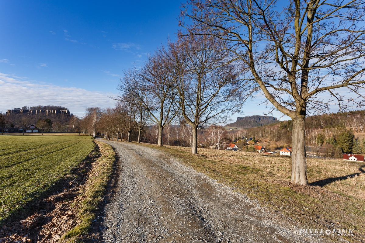 AS_20190224_MG_3934.jpg