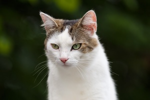 AS 20190525 MG 4553